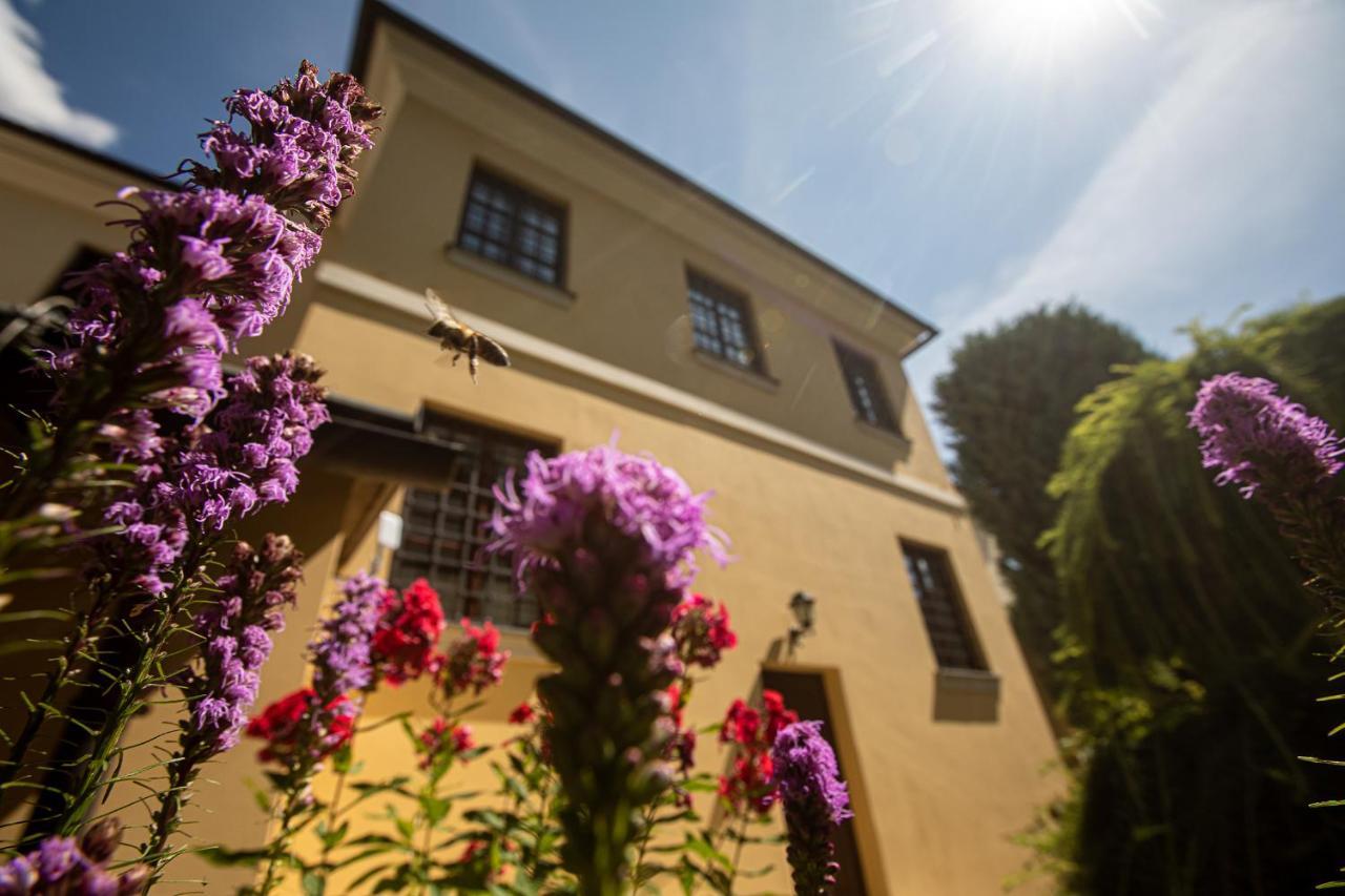 Satlava Apartment Nove Mesto nad Metuji